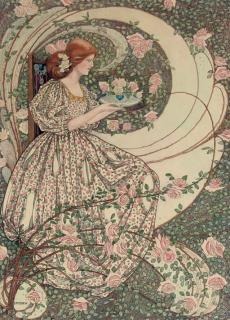 Dorothy Fitchew - Roses