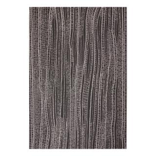 Dorothy Napangardi - Karlangu (Digging Sticks)