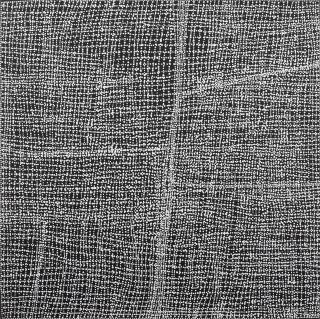 Dorothy Robinson Napangardi - Karntakurlangu Jukurrpa, 2000