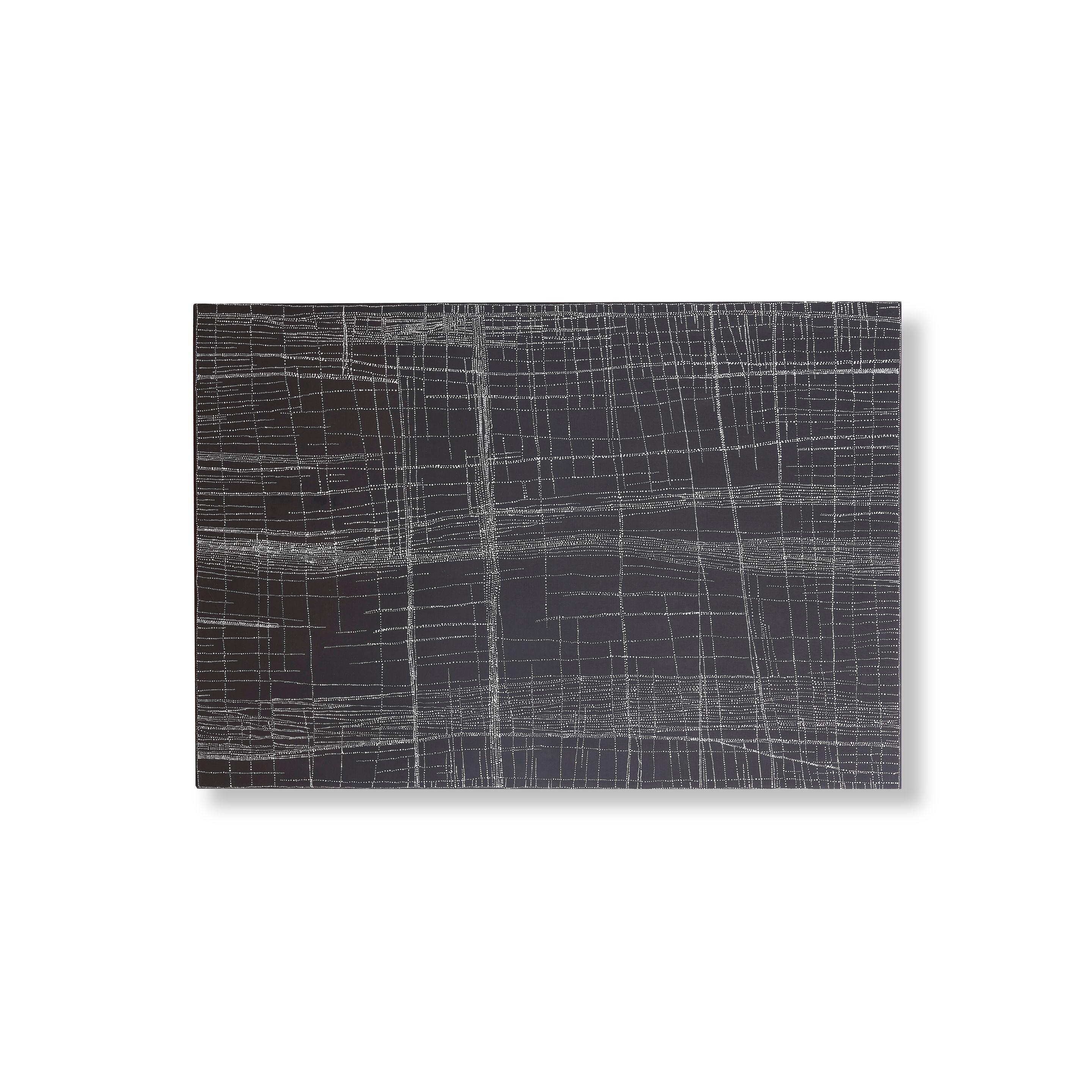 Dorothy Robinson Napangardi - Salt on Mina Mina, 2003