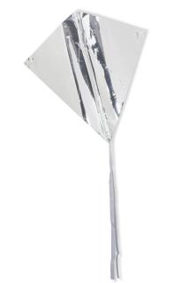 Doug Aitken - Decrease the Mass and Run like Hell