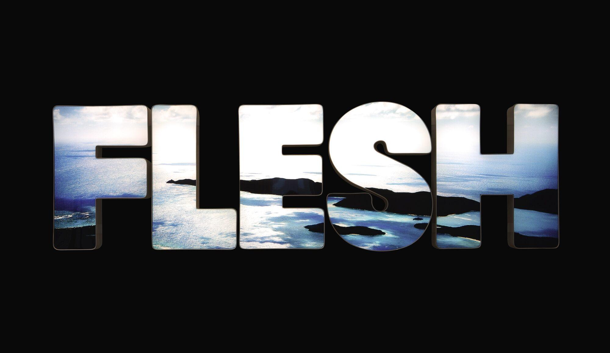 Doug Aitken - Flesh