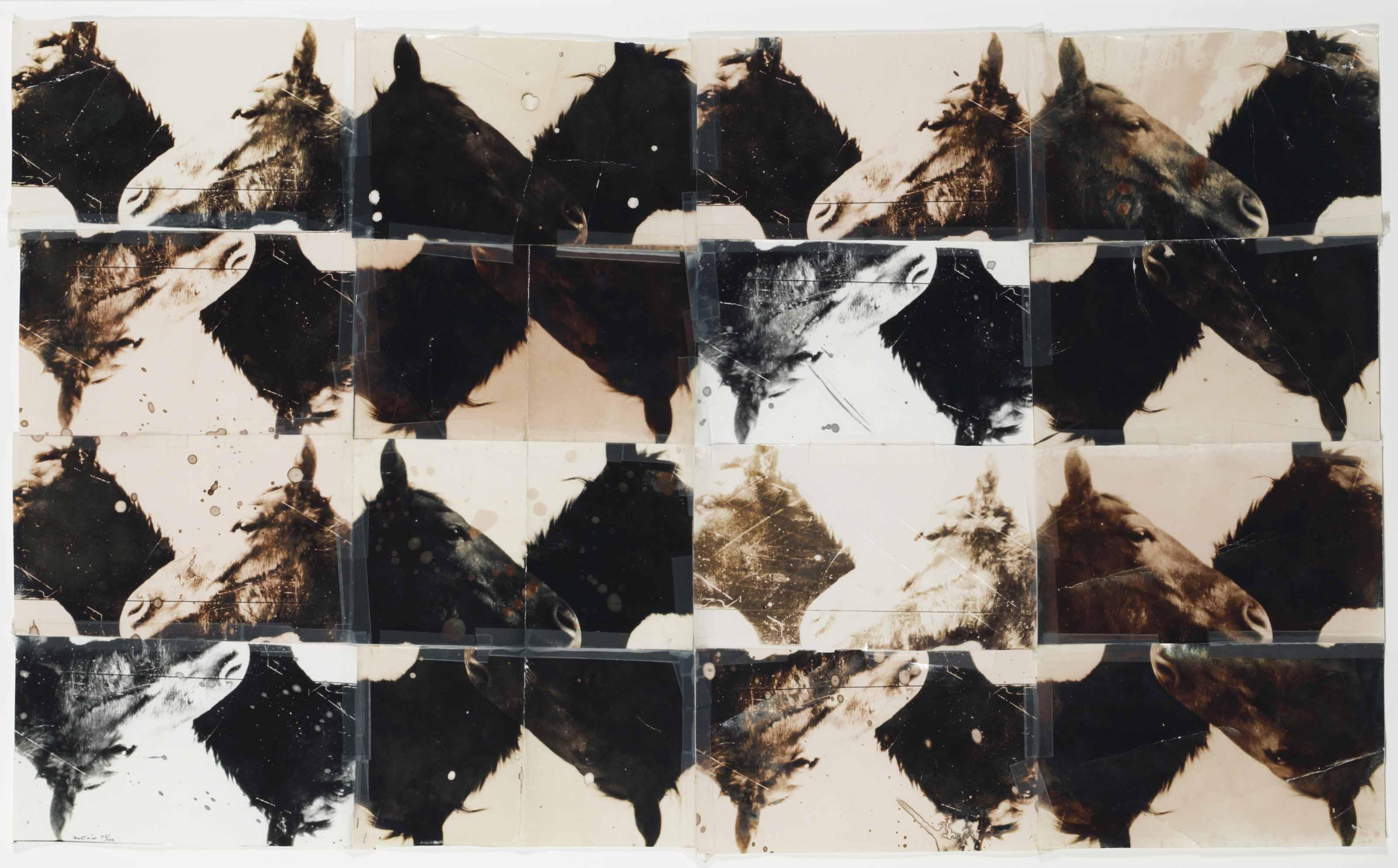 Doug And Mike Starn - Horses, 1986