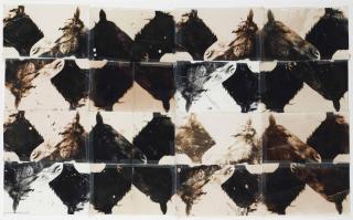 Doug And Mike Starn - Horses, 1986