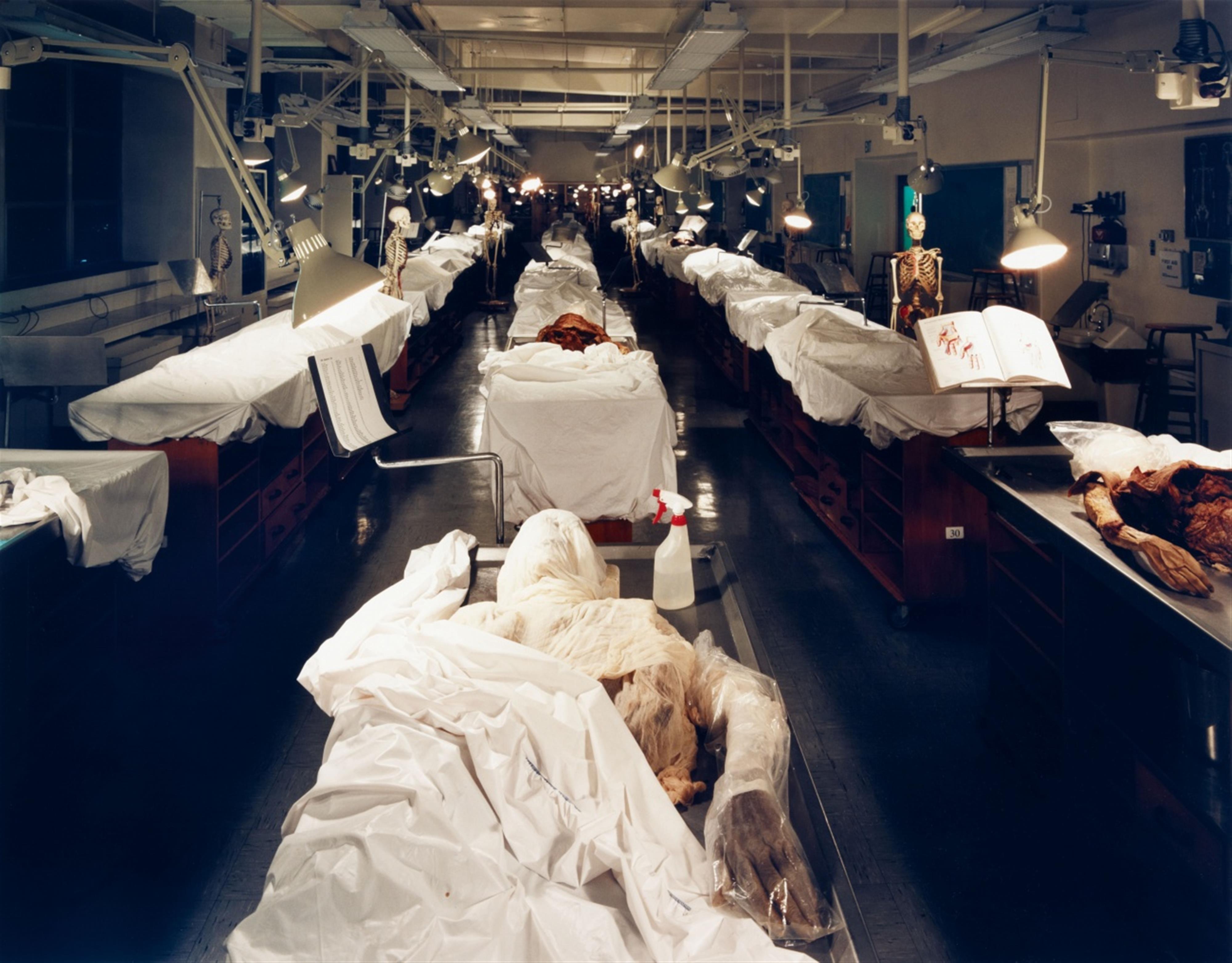 Doug Hall - Anatomy lab