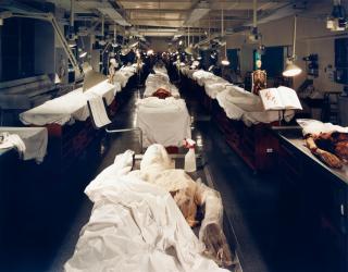 Doug Hall - Anatomy lab