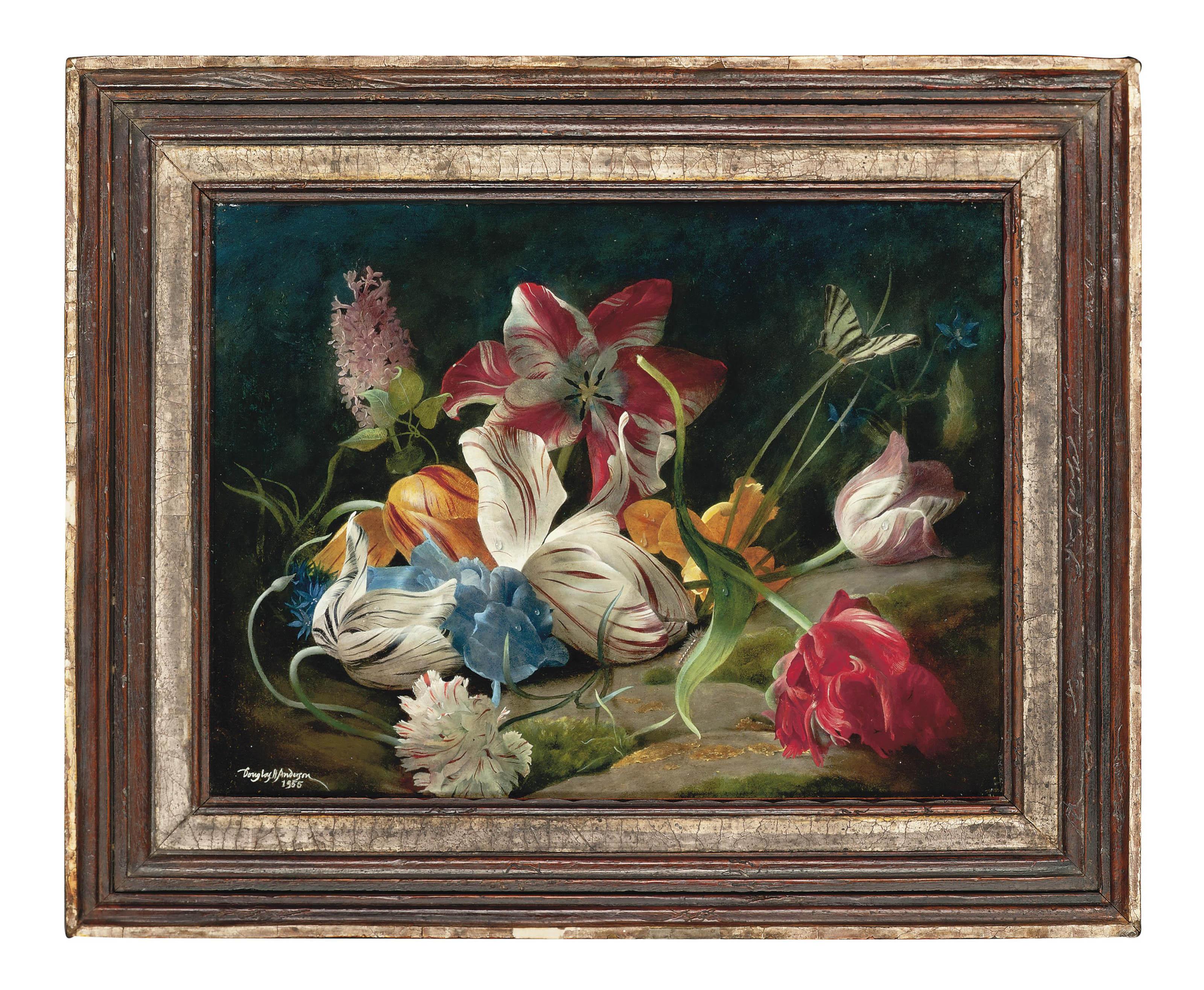 Douglas Anderson - Still Life With Tulips