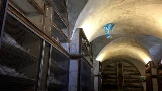 Douglas Gordon - Citizens of Palermo!