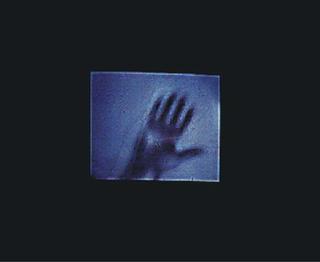 Douglas Gordon - Don\'t Think About It