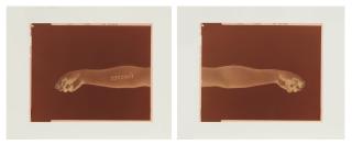 Douglas Gordon - I. Never, Never (Black, Negative, Mirrored), 2000; Ii. Never, Never (White, Negative, Mirrored), 2000 [Two Works]