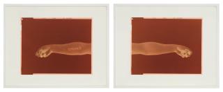 Douglas Gordon - Left: Never, Never (Black, Negative, Mirrored) Right: Never, Never (White, Negative, Mirrored) [Two Works]