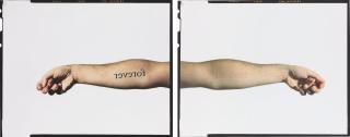 Douglas Gordon - Never, Never, 2000
