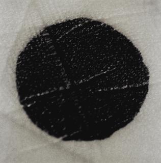 Douglas Gordon - Spot