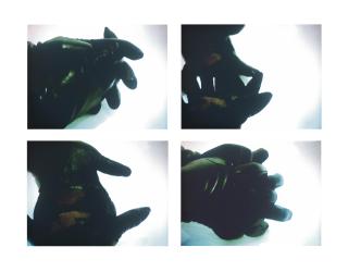 Douglas Gordon - The Left Hand Can\'t See That the Right Hand is Blind