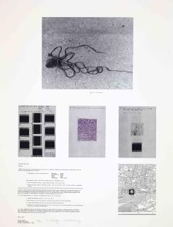 Douglas Huebler - Variable Piece #150