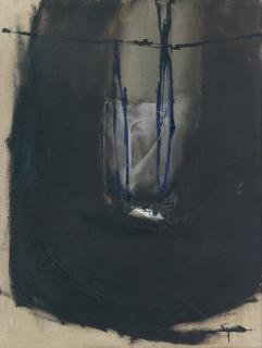 Douglas Swan - Black Net