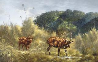 Douglas van Howd - Antelope At A Riverbed