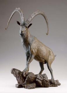 Douglas Van Howd - Standing Ram