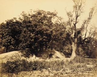 Dr. John Murray - Garden at Secundra (Sikandra)