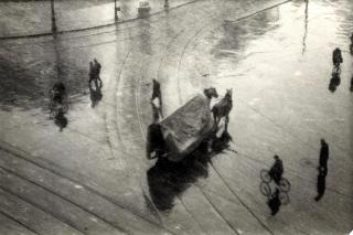 Dr. Paul Wolff - Ohne Titel