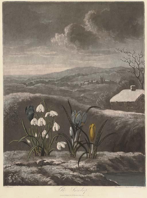 Dr Robert John Thornton - The Snowdrop; and Thou divine Linnaeus, by W.Ward and T.Burke