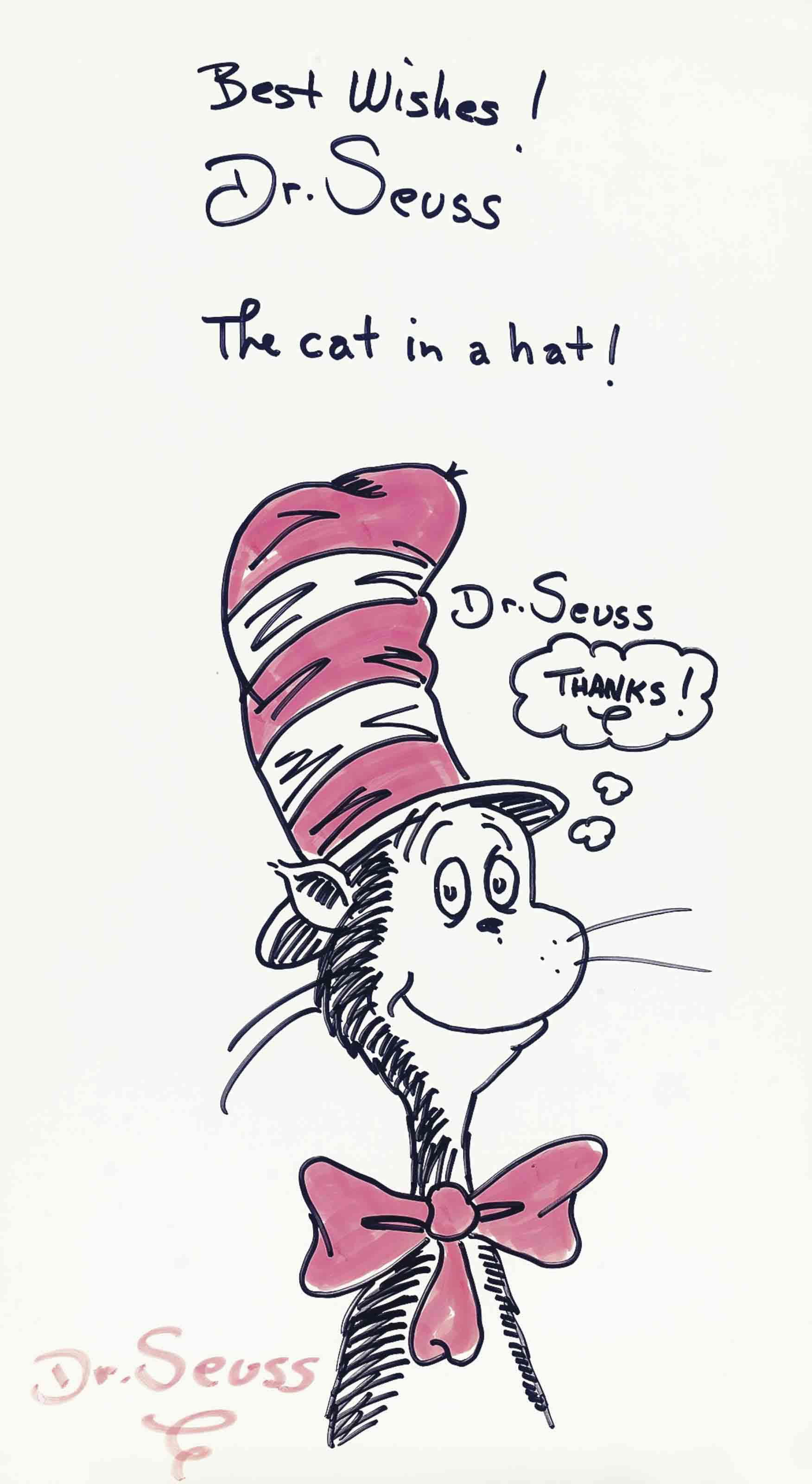 Dr. Theodore S. Gisel Seuss - The Cat In A Hat!