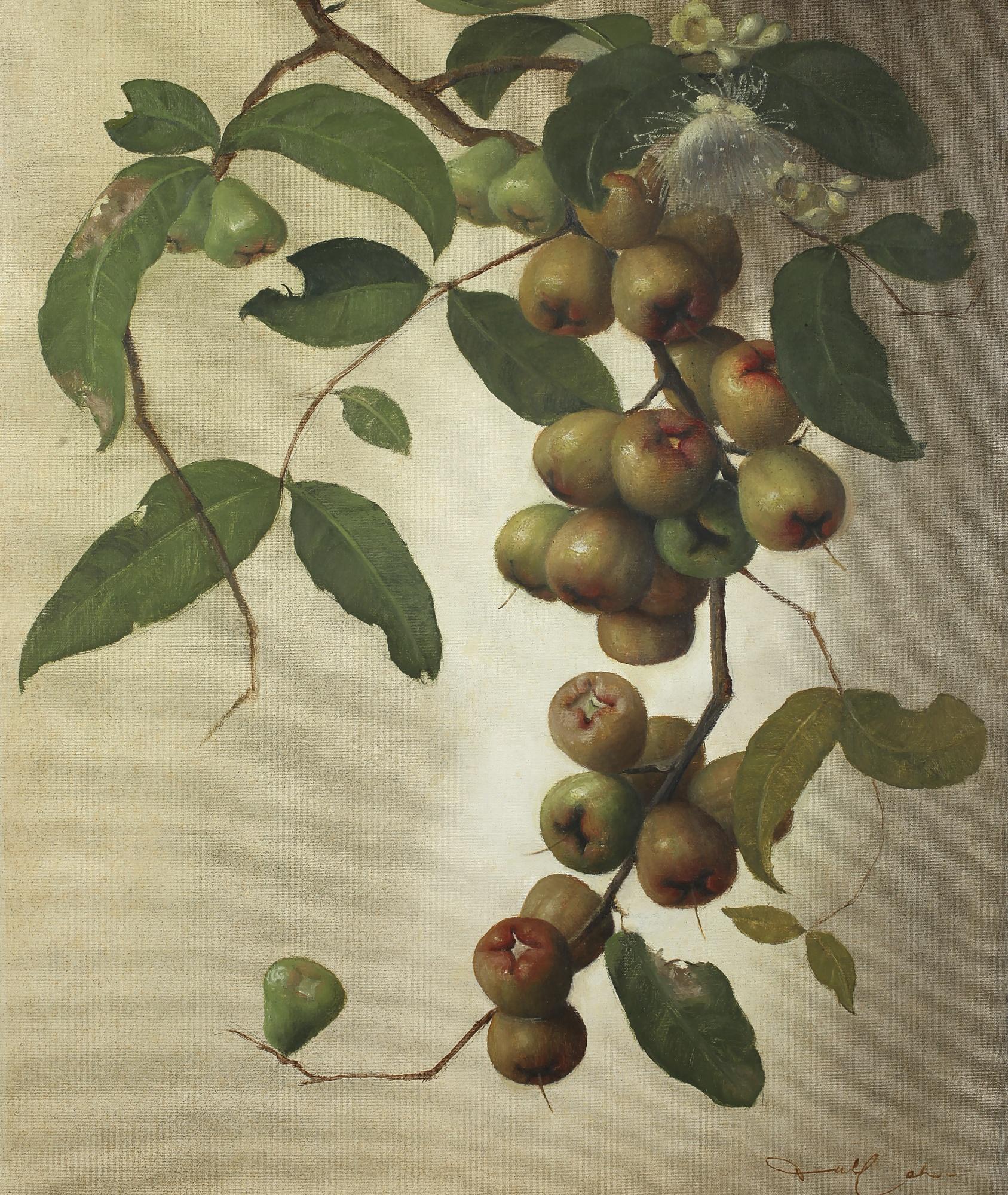 Dullah - Still Life, Jambu