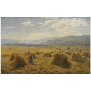 Duncan Cameron - The Haymakers