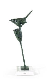 Dylan Lewis - Cape Robin