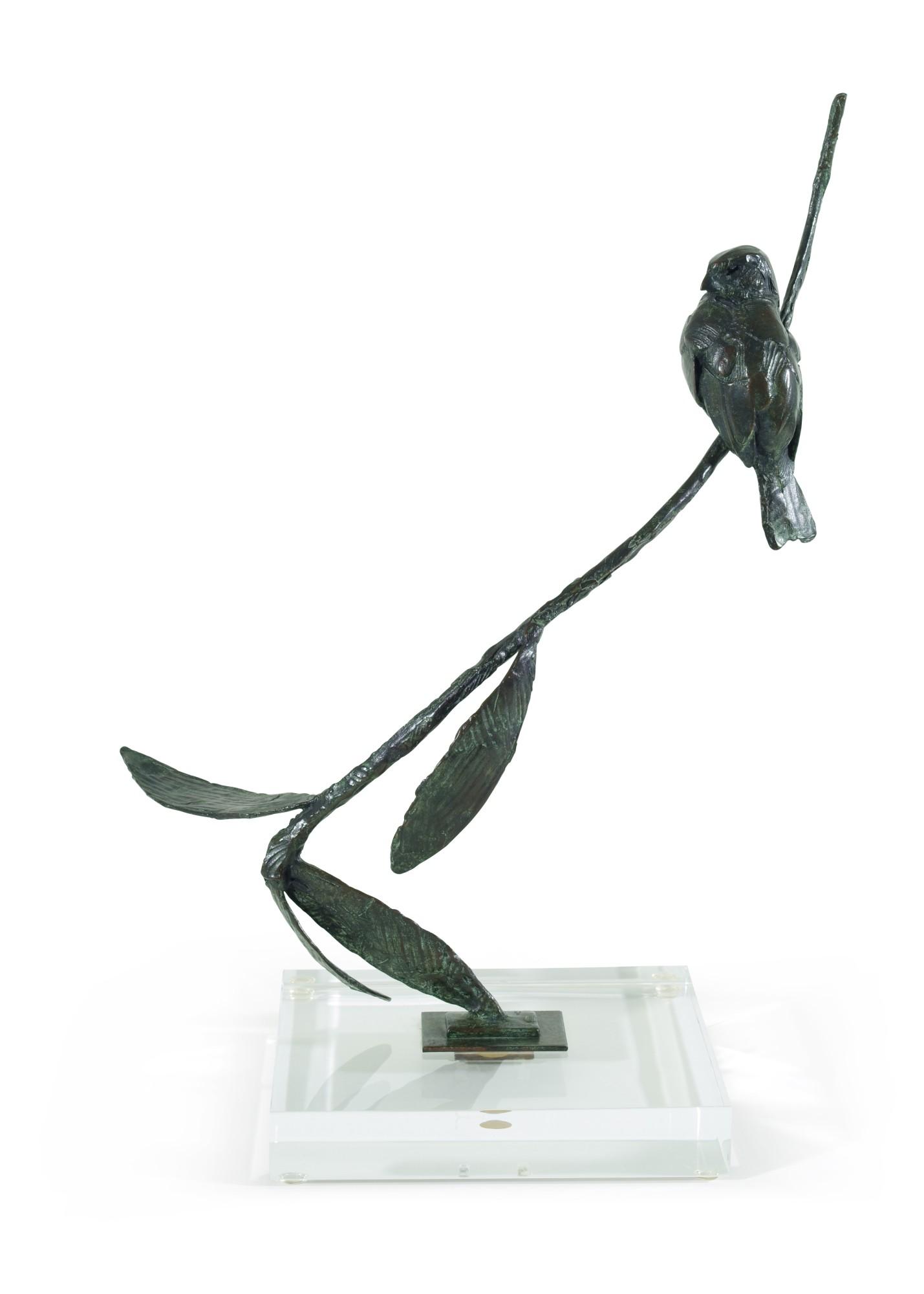 Dylan Lewis - Finch II