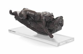 Dylan Lewis - Leopard lying in tree