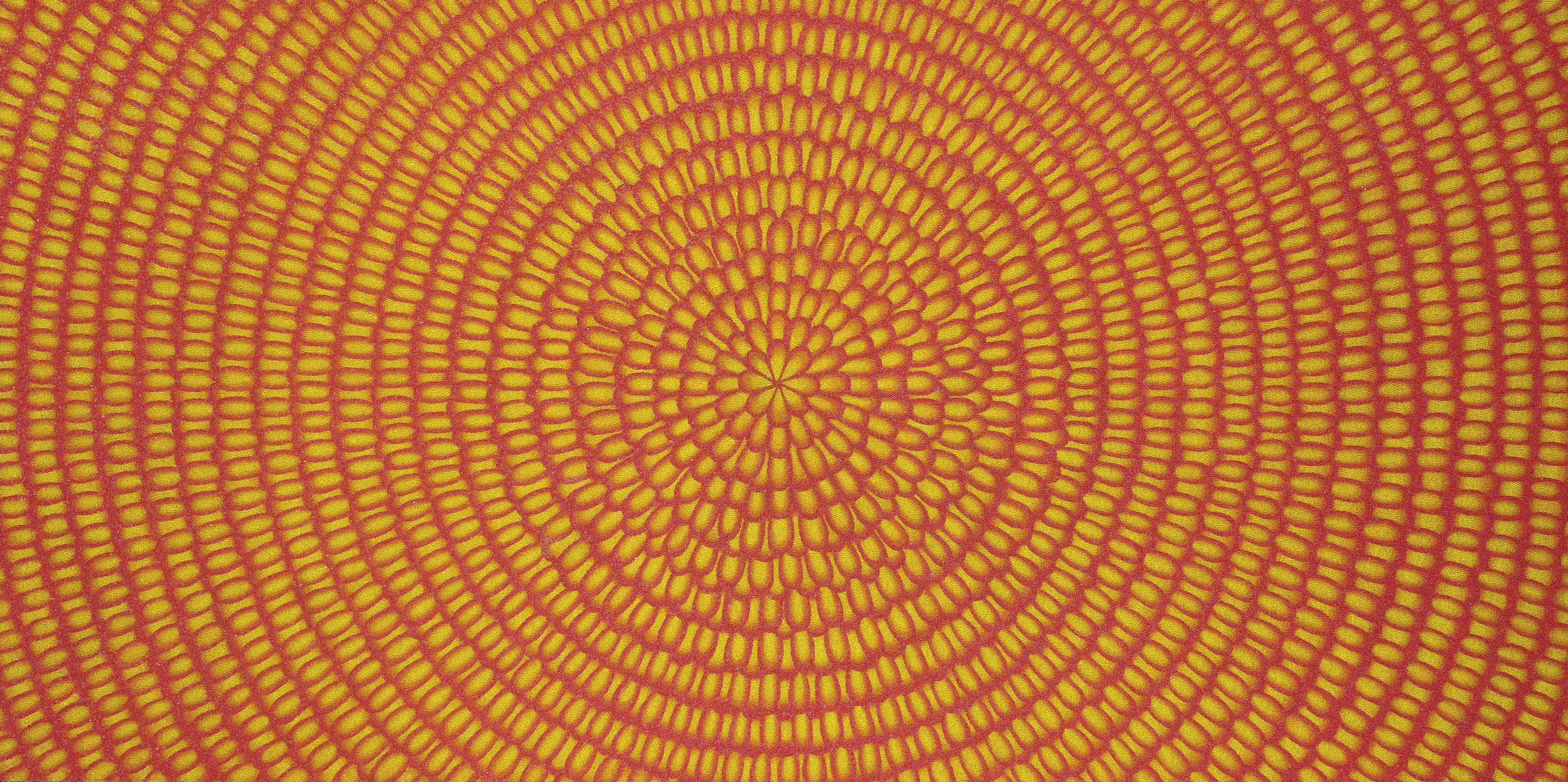 Dzine - Surasi\'S Sunset