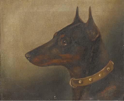 E. Aistrop - A Jack Russell terrier; A Manchester terrier; and A bull terrier