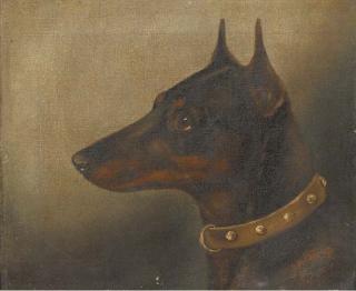 E. Aistrop - A Jack Russell terrier; A Manchester terrier; and A bull terrier