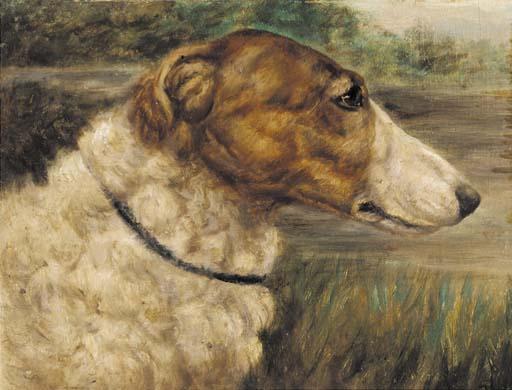 E. Aistrop - The borsoi Champion Ramsden Rajah