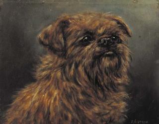 E. Aistrop - The Brussels griffon Glenastney Paulus
