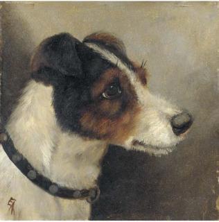 E. Aistrop - The Head Of A Terrier