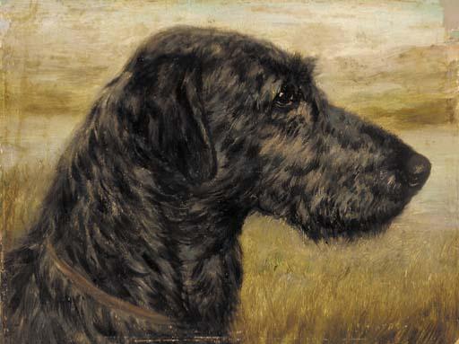 E. Aistrop - The Irish wolfhound Finn