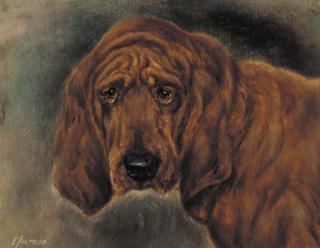 E. Aistrop - The prize bloodhound Pomilly Elf (?)