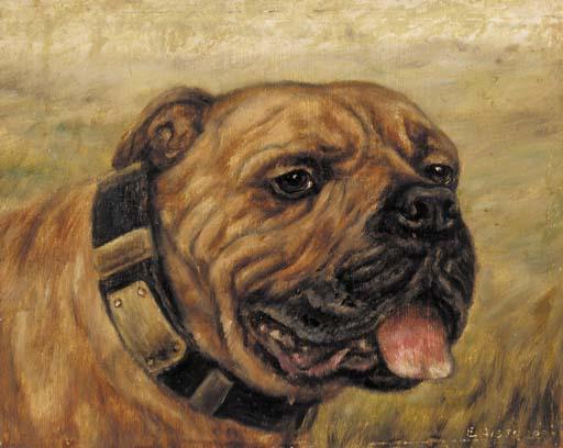 E. Aistrop - The prize bulldog Buffalo