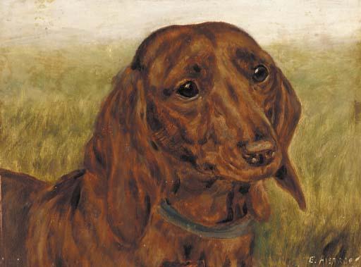 E. Aistrop - The prize dachshund Brandesburton Francesca