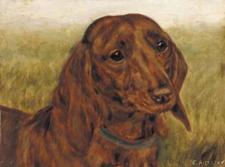 E. Aistrop - The prize dachshund Brandesburton Francesca