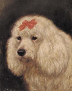 E. Aistrop - The prize poodle Wolvey Troubadour