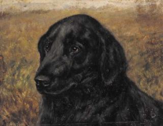 E. Aistrop - The prize retriever Wharfedale Badger