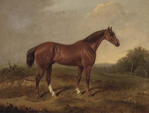 E. Brown - A chestnut hunter in a landscape
