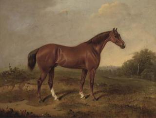 E. Brown - A chestnut hunter in a landscape