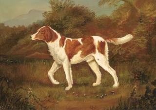 E. S. England - A spaniel in a wooded landscape