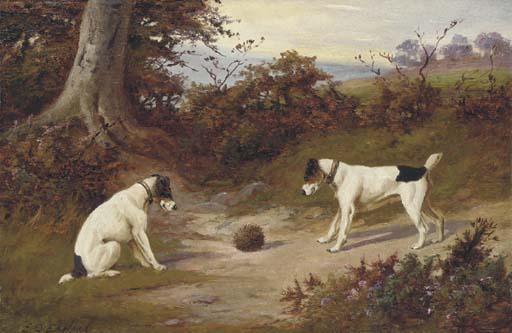 E.S. England - Startled by a hedgehog