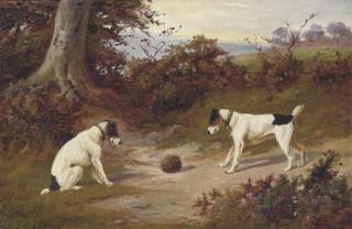 E.S. England - Startled by a hedgehog