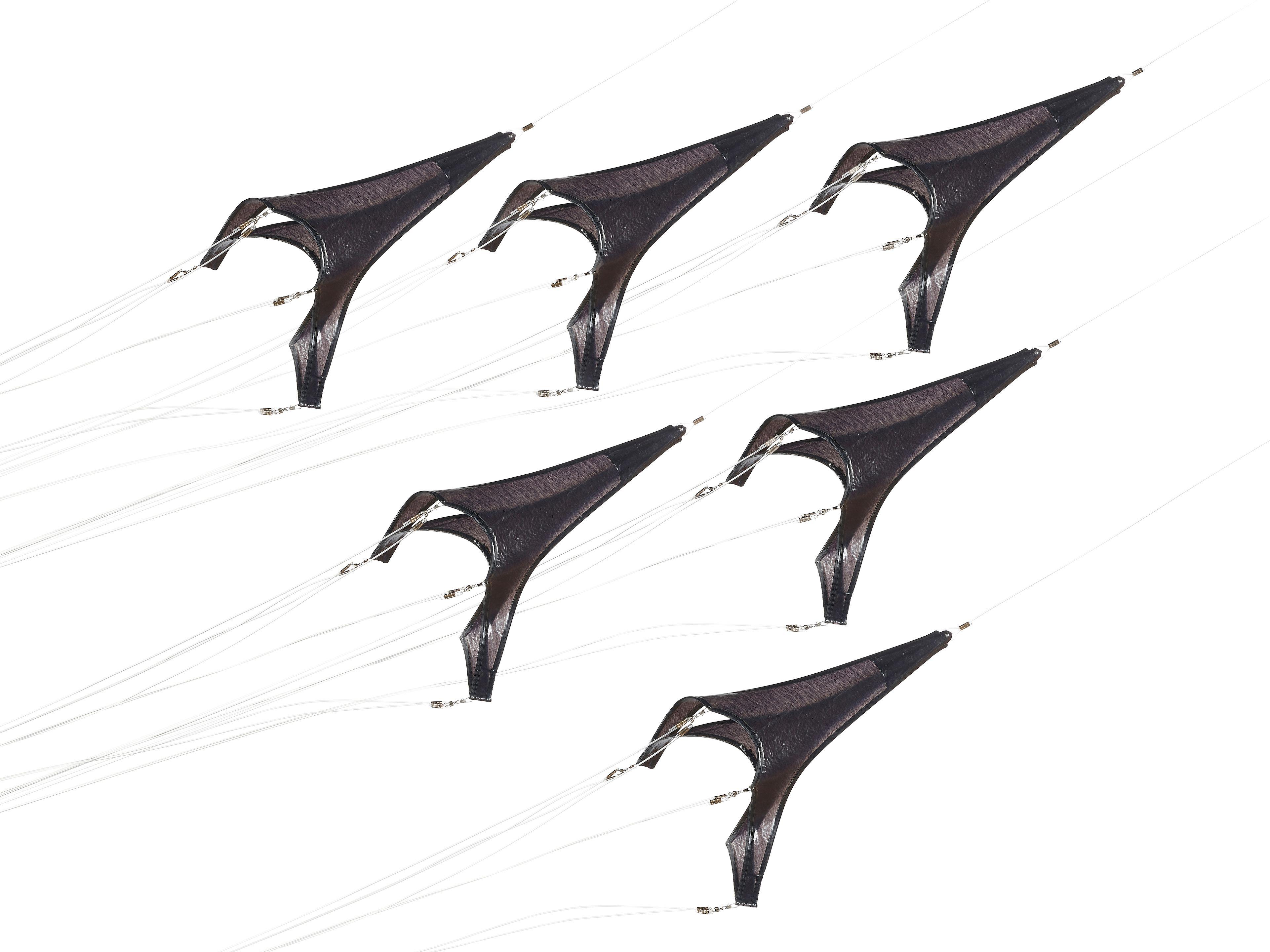 E.V. Day - G-Force over Texas